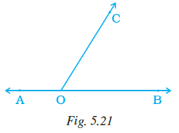 Page 133 Chapter 5 Class 7th NCERT Exemplar Page 133 Chapter 5 Class 7th NCERT Exemplar